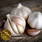 Ajo blanco orgánico. (1 pza)